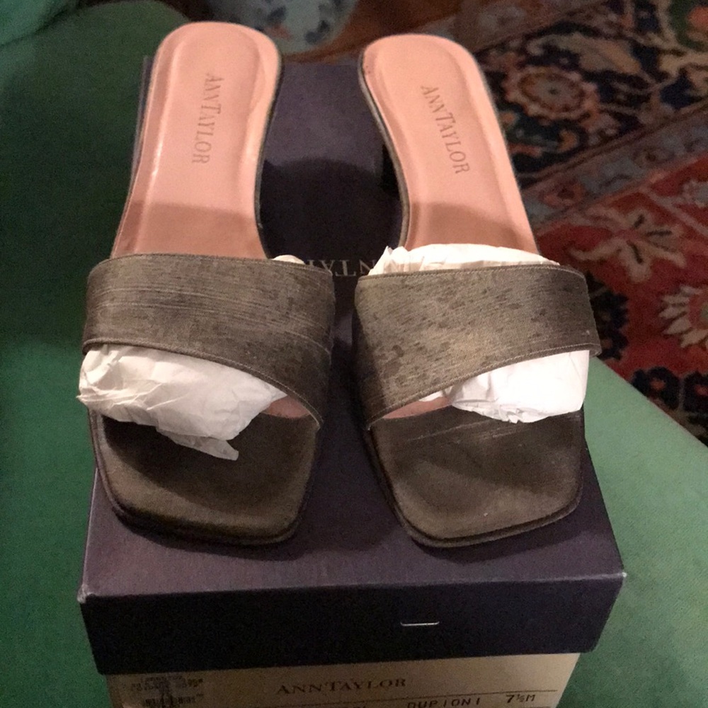 Ann Taylor Silk Dupioni Slides